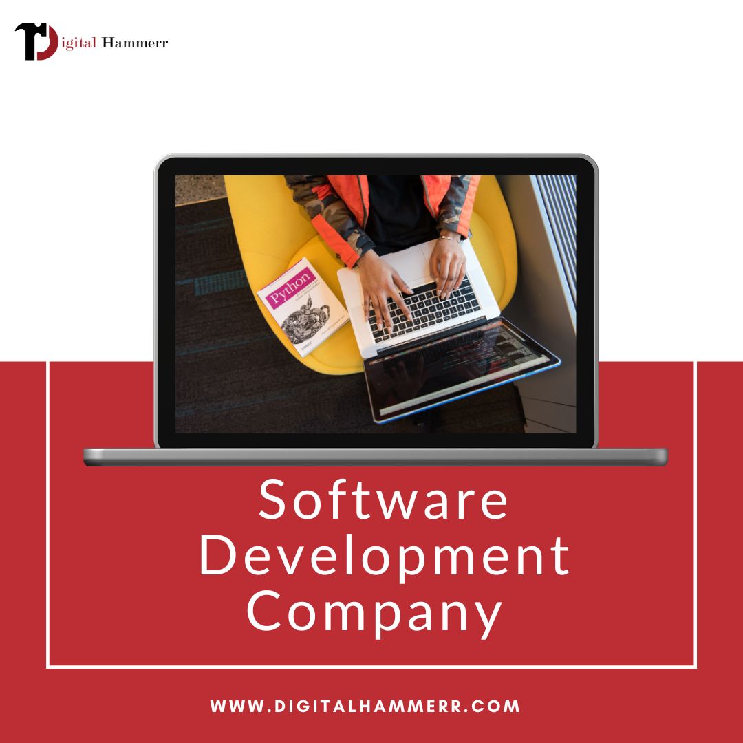software-development-company-in-udaipur
