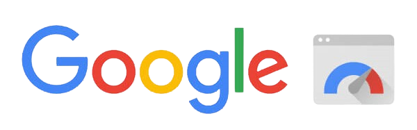 google-pagespeed-insights-logo-wide-removebg-preview